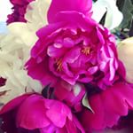 Picked these little beauties up at the store yesterday and I won't lie, they make me smile! #flowers #peonies #springflowers #pink
