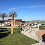 Sunny and Spring here in the Bay Area! What's the weather in your area?#spring #sun