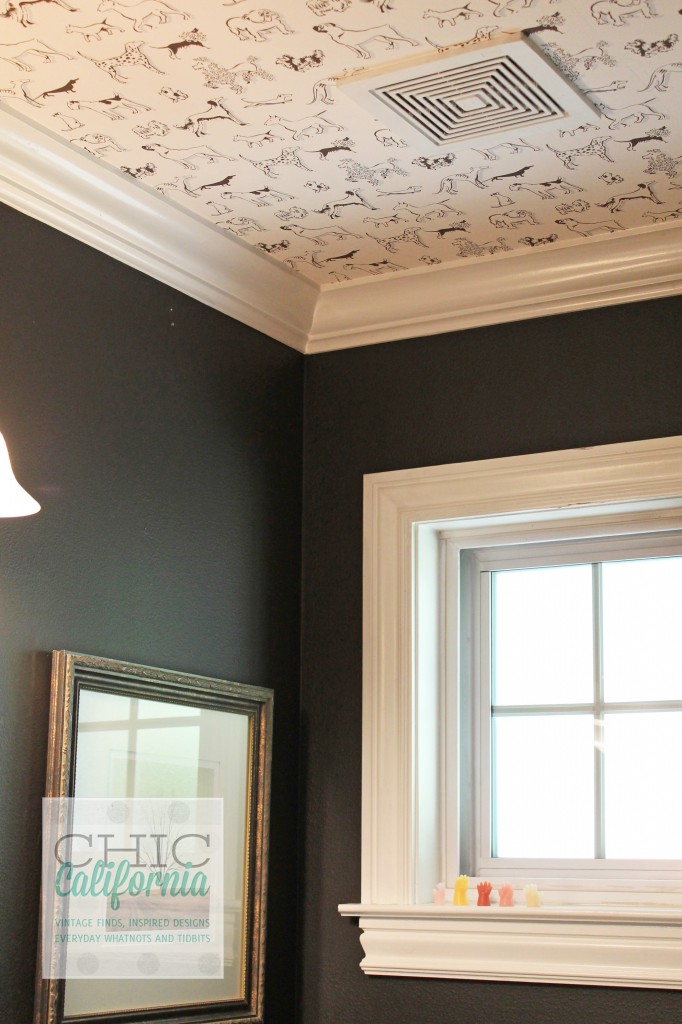 dog wallpaper, dark bathroom, navy blue bathroom