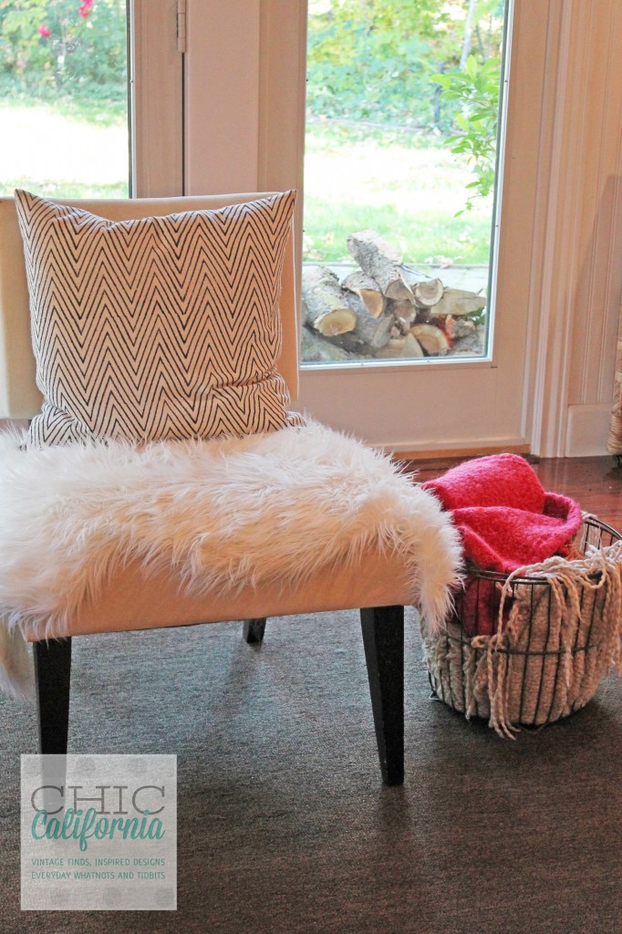 fuzzy chair