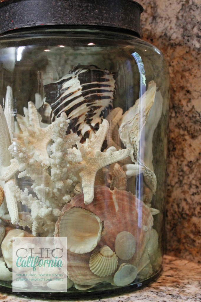 sea shells, jar of shells, mudroom decor, decorating with shells