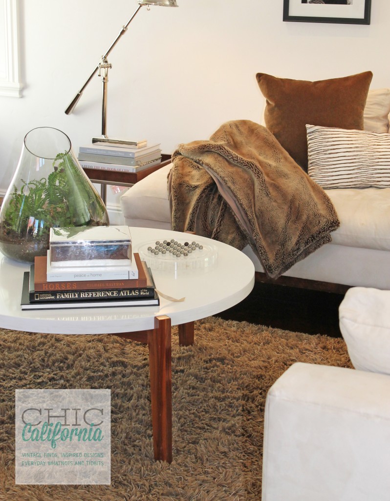 white coffee table, white couch. cozy modern family room, family room