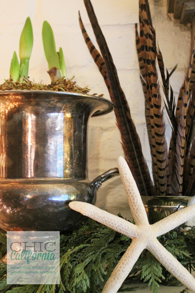 Amarylis, champagne bucket, starfish,feathers