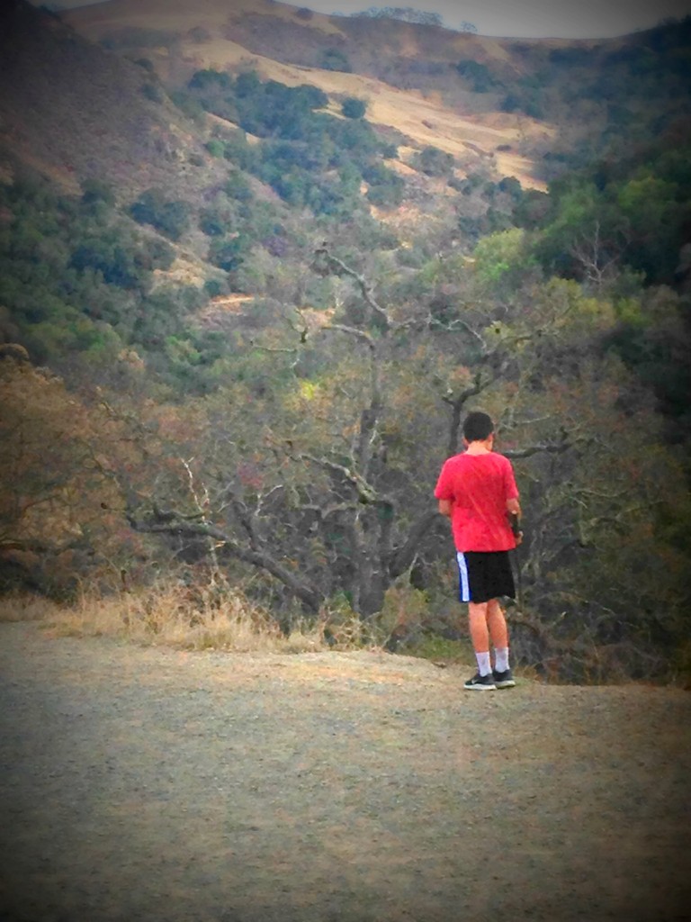 Austin