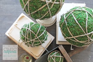 Moss Garden Balls