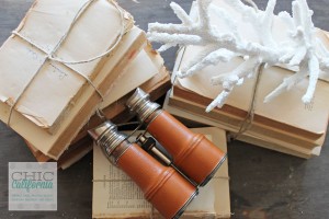 Vintage Binoculars and Vintage Books
