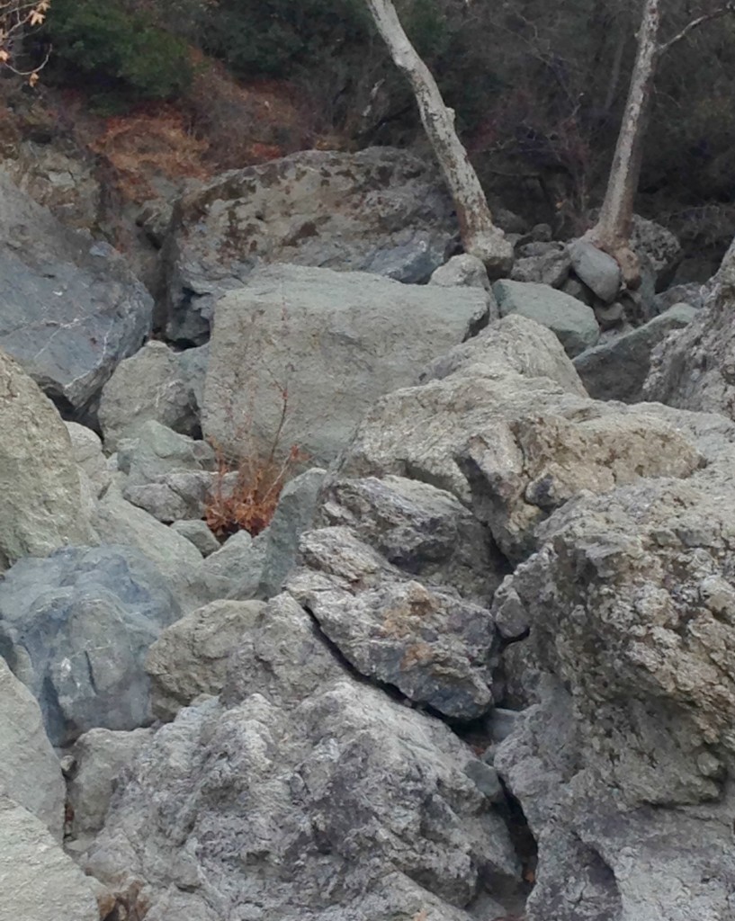 rock climbing