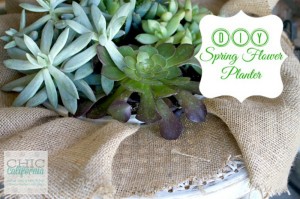 DIY Spring Flower Planter2