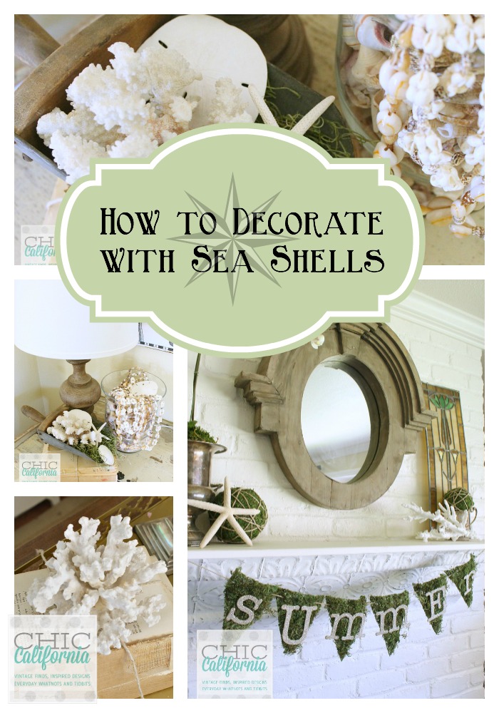 How to Decorate With Sea Shells