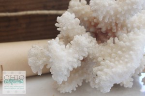 Inspired Design Monday: How to Decorate with Seashells