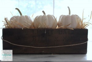 Fall Home Tour 3 pumpkin center piece