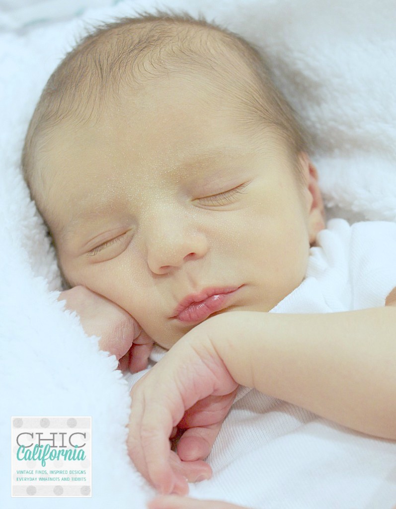 beau3 watermark